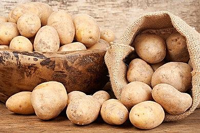 《人生重开模拟器》将推出手游版 预计9月上线